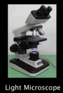 microscope